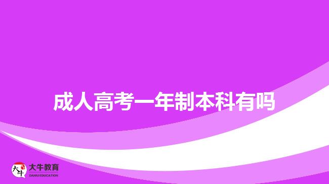 成人高考一年制本科有嗎