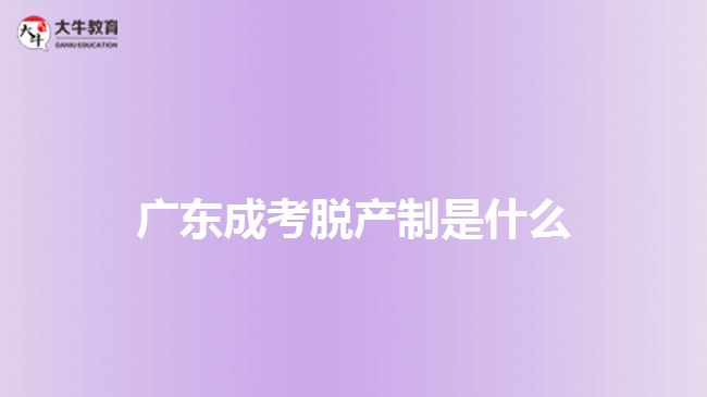 廣東成考脫產(chǎn)制是什么