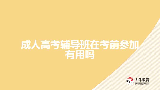 成人高考輔導(dǎo)班在考前參加有用嗎