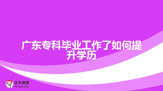 廣東?？飘厴I(yè)工作了如何提升學(xué)歷