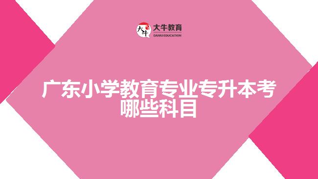 廣東小學教育專業(yè)專升本考哪些科目