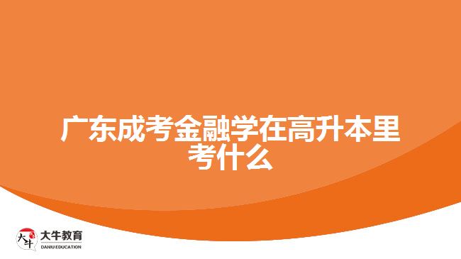 廣東成考金融學在高升本里考什么