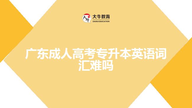 廣東成人高考專(zhuān)升本英語(yǔ)詞匯難嗎