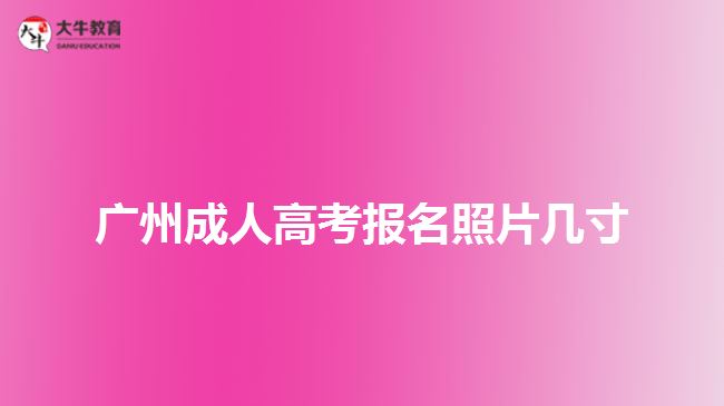 廣州成人高考報名照片幾寸