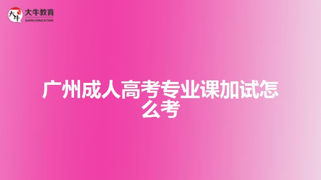 廣州成人高考專業(yè)課加試怎么考