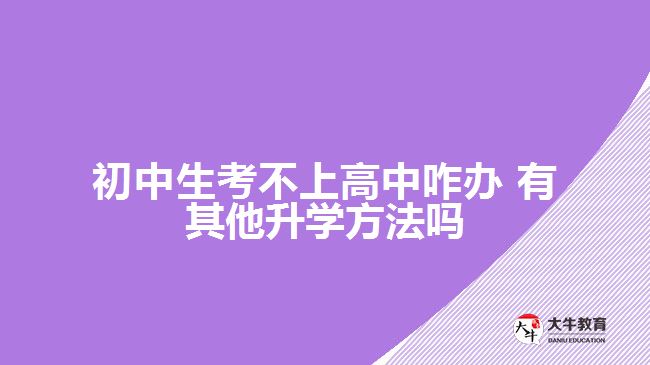 初中生考不上高中咋辦?有其他升學方法嗎