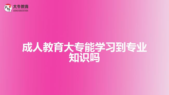 成人教育大專能學習到專業(yè)知識嗎