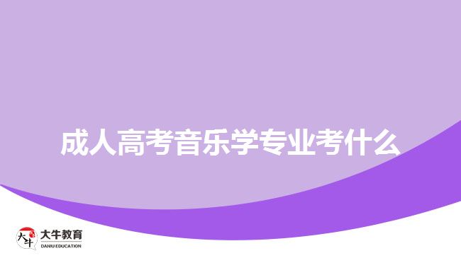 成人高考音樂學(xué)專業(yè)考什么