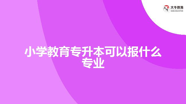 小學教育專升本可以報什么專業(yè)