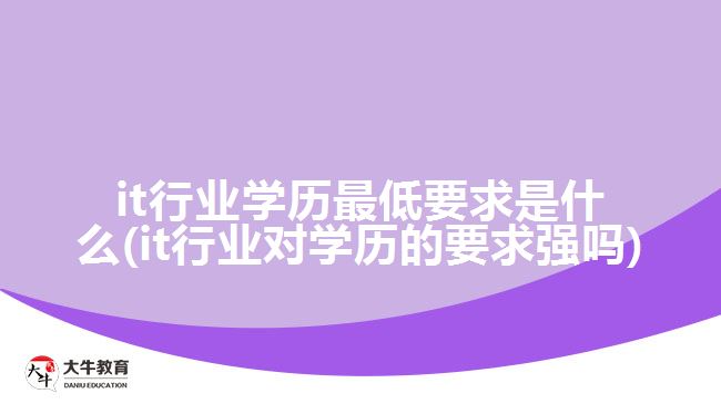 it行業(yè)學歷最低要求是什么