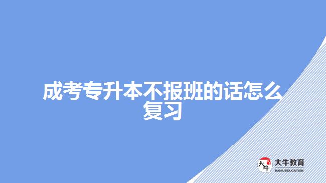 成考專升本不報(bào)班的話怎么復(fù)習(xí)