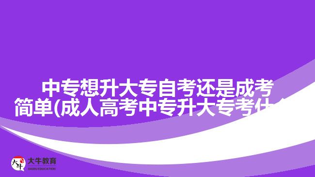 中專想升大專自考還是成考簡(jiǎn)單(成人高考中專升大?？际裁?