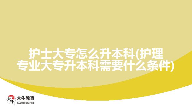 護(hù)士大專怎么升本科(護(hù)理專業(yè)大專升本科需要什么條件)