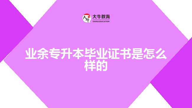 業(yè)余專升本學(xué)位證