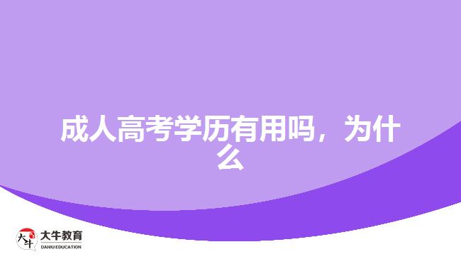 成人高考學(xué)歷有用嗎，為什么