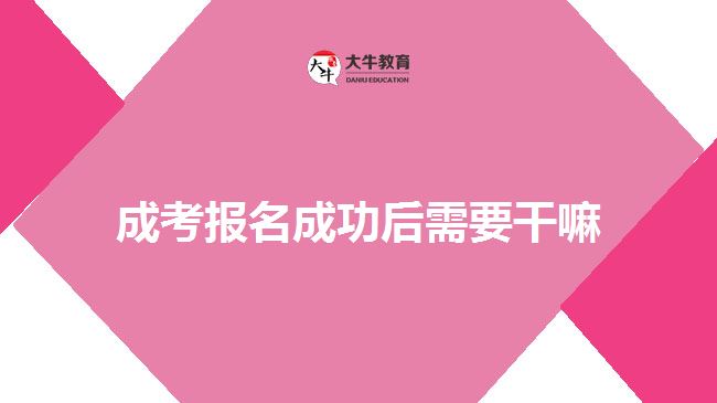 成考報名成功后需要干嘛