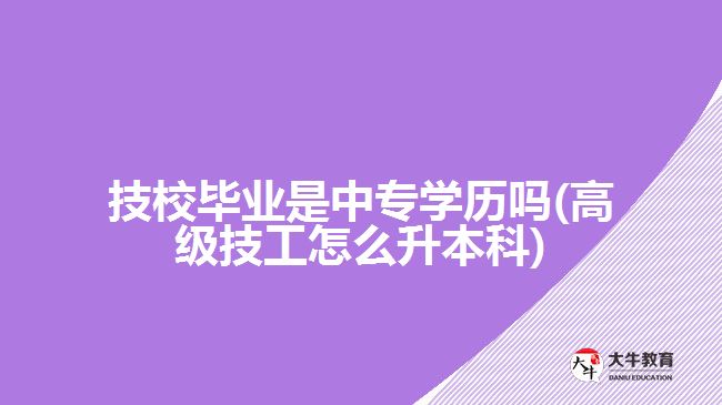 技校畢業(yè)是中專(zhuān)學(xué)歷嗎(高級(jí)技工怎么升本科)