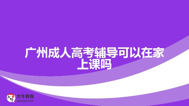 廣州成人高考輔導可以在家上課嗎