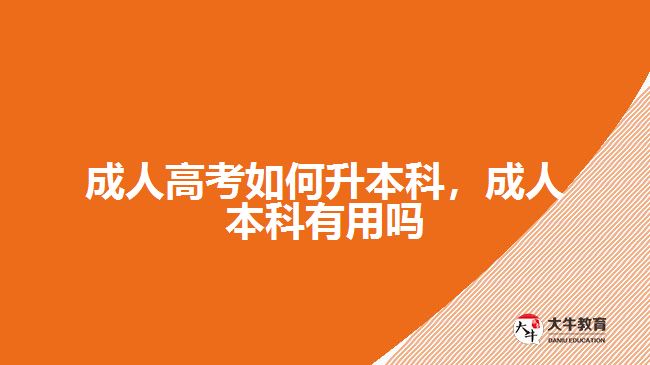 成人高考如何升本科，成人本科有用嗎