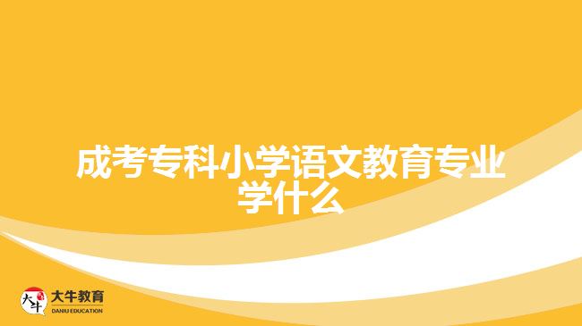 成考?？菩W(xué)語文教育專業(yè)學(xué)什么