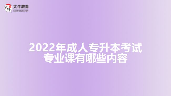 2022年成人專升本考試專業(yè)課內容