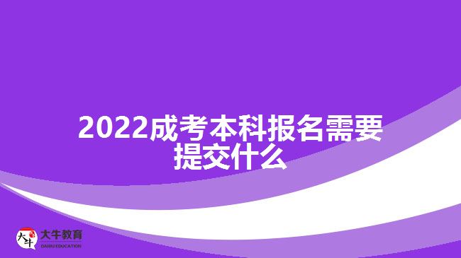 2022成考本科報(bào)名需要提交什么