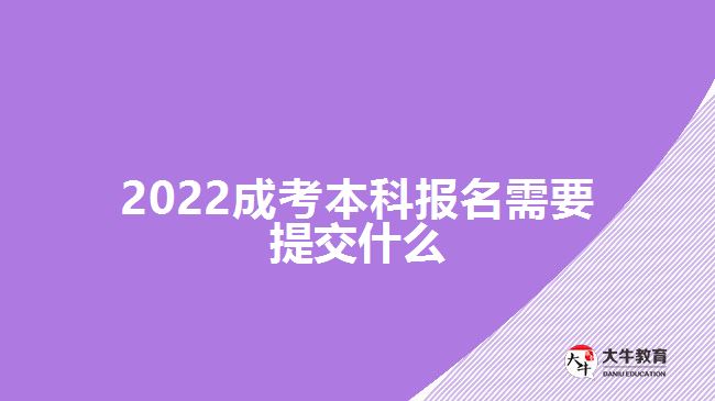 2022成考本科報名需要提交什么