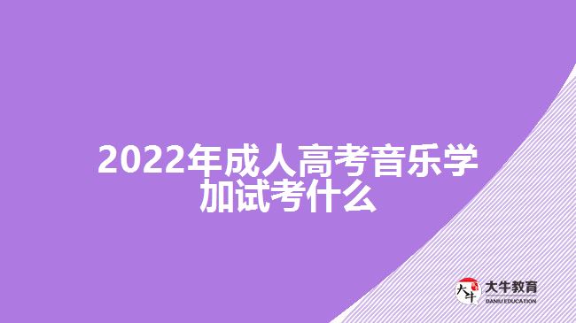 2022年成人高考音樂(lè)學(xué)加試考什么