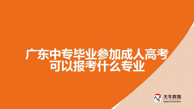 廣東中專畢業(yè)參加成人高考可以報(bào)考什么專業(yè)