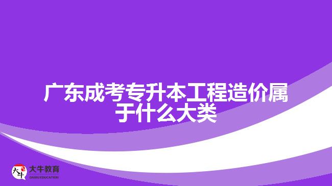 廣東成考專升本工程造價屬于什么大類