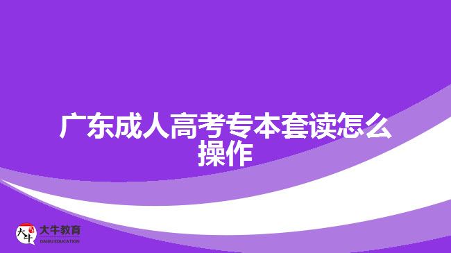 廣東成人高考專本套讀怎么操作