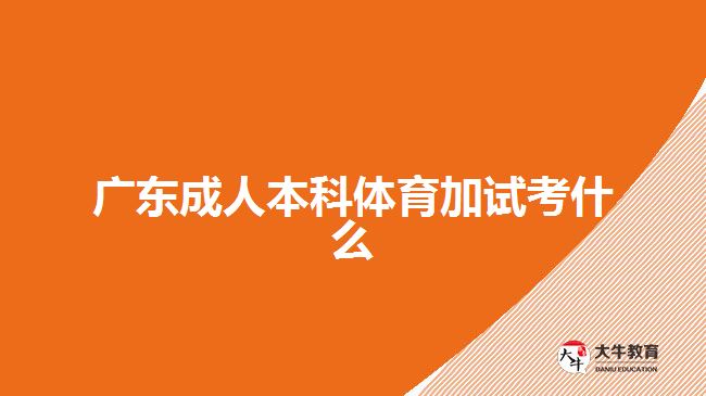 廣東成人本科體育加試考什么