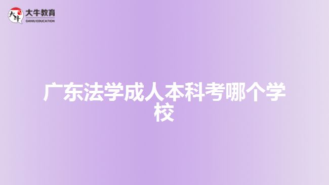 廣東法學(xué)成人本科考哪個學(xué)校