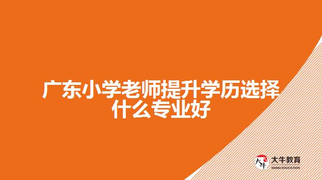 廣東小學(xué)老師提升學(xué)歷選擇什么專業(yè)好