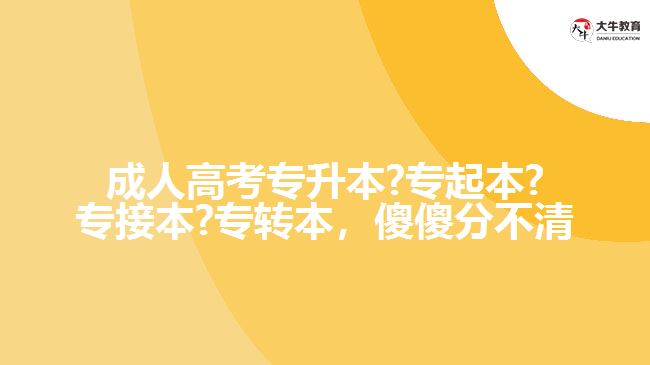 成人高考專升本?專起本?專接本?專轉(zhuǎn)本，傻傻分不清