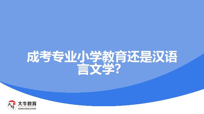 成考專業(yè)小學教育還是漢語言文學？