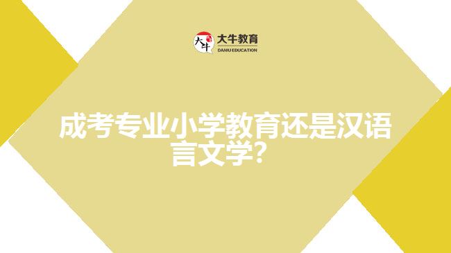 成考小學(xué)教育還是漢語言文學(xué)？