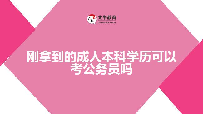 剛拿到的成人本科學歷可以考公務員嗎