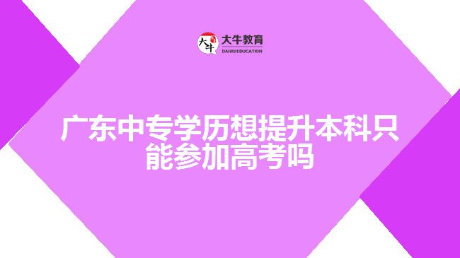 中專學(xué)歷想提升本科只能參加高考嗎