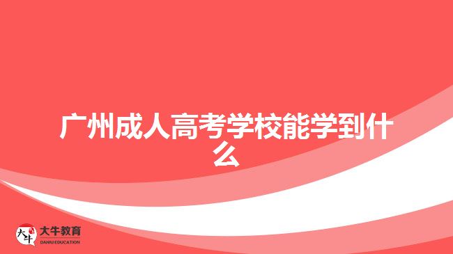 廣州成人高考學(xué)校能學(xué)到什么