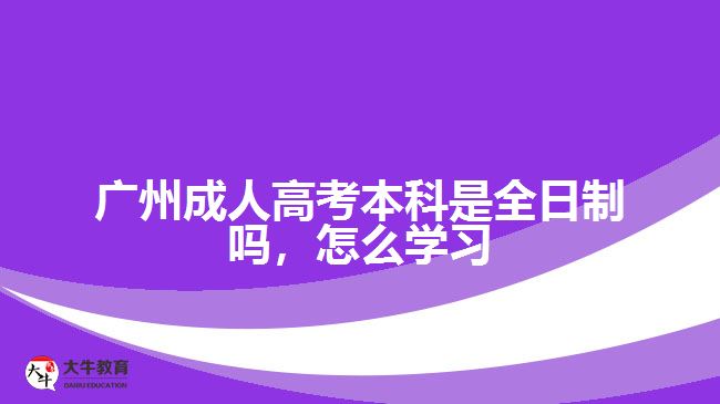 廣州成人高考本科是全日制嗎，怎么學習