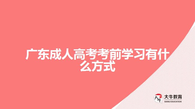 廣東成人高考考前學(xué)習(xí)有什么方式