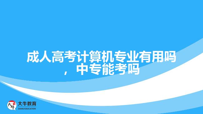 成考計(jì)算機(jī)專業(yè)有用嗎，中專能考嗎