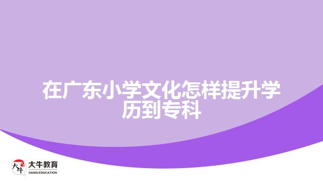 在廣東小學(xué)文化怎樣提升學(xué)歷到專科