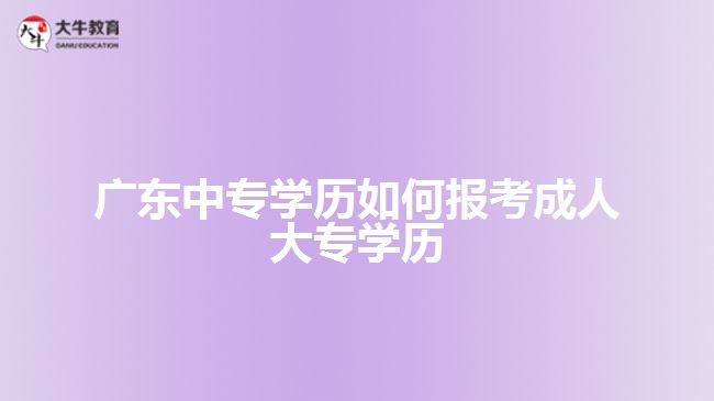 廣東中專學(xué)歷如何報(bào)考成人大專學(xué)歷