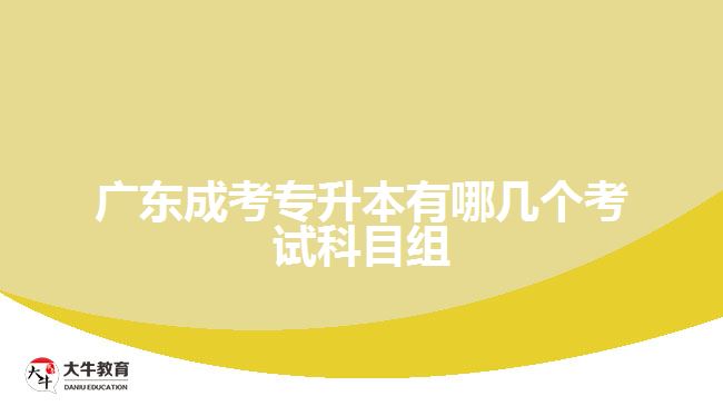 廣東成考專升本有哪幾個考試科目組