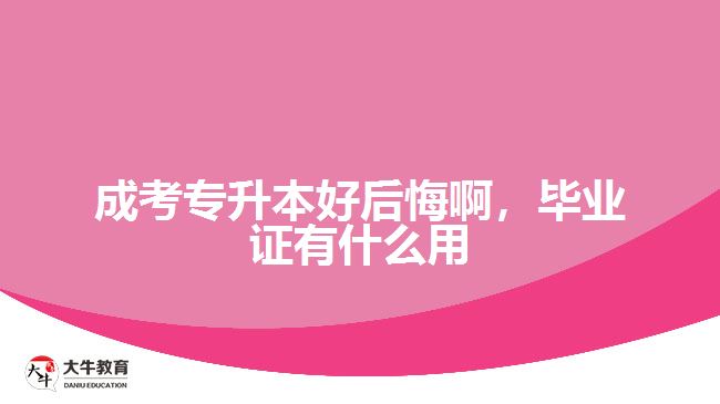 成考專升本好后悔啊，畢業(yè)證有什么用