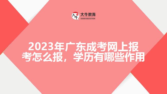 2023年廣東成考網(wǎng)上報考怎么報，學歷有哪些作用