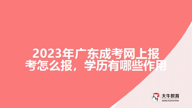 成考網(wǎng)上報考怎么報學(xué)歷有哪些作用