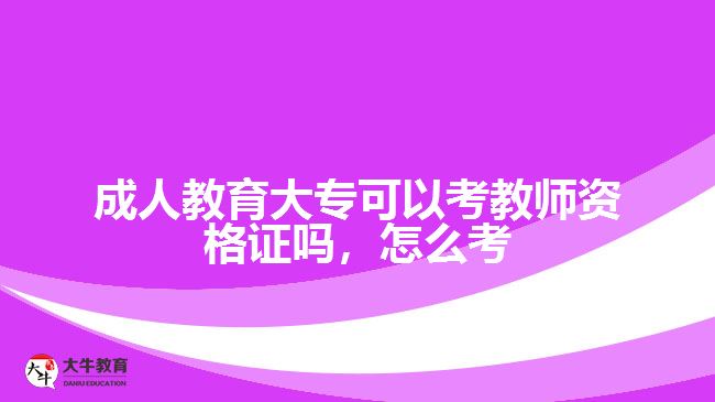 成人教育大專可以考教師資格證嗎